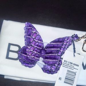 Brahmin ultraviolet butterfly